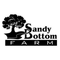 SandyBottomAVI